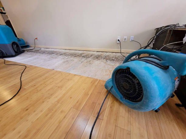 Reliable Basement Flood Cleanup contractor in Florham Park, NJ by Hirex Water Damage