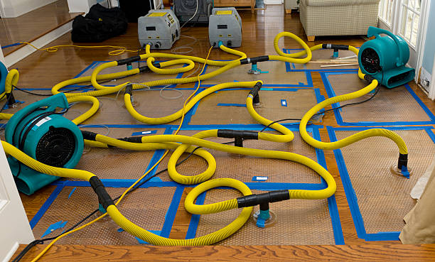 Professional Basement Flood Cleanup technician working in Florham Park, NJ